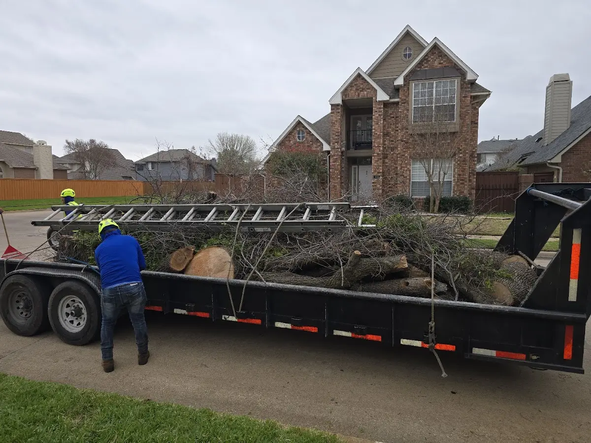 Expert Lot Clearing with proper safety equipment in Harris